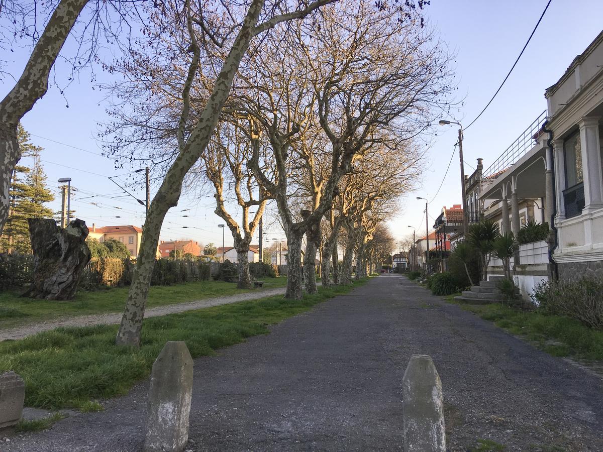 Lv Premier Granja Villa- Gr1 São Félix da Marinha Eksteriør billede